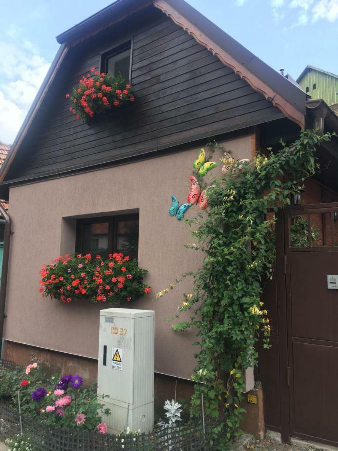 Maison Rosmina 布拉索夫 外观 照片